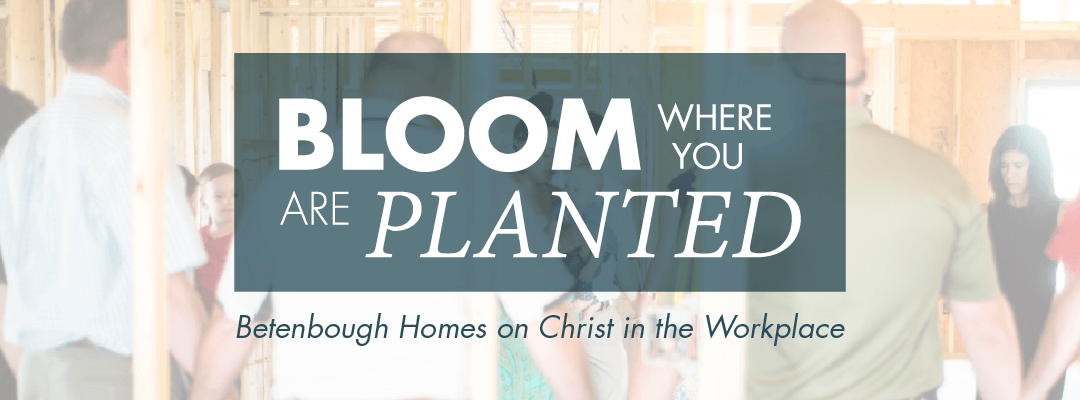 Bloom where You’re Planted